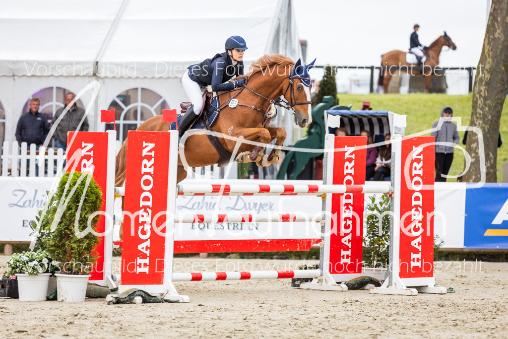 BHO-2PhSpr-M-350 | MomenTaufnahmen Pferdesportfotos