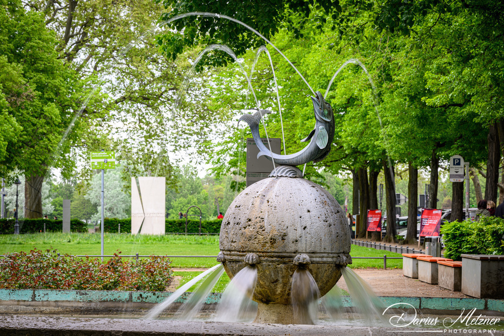 Der Fischtorbrunnen | Der Fischtorbrunnenam Fischtorplatz in Mainz