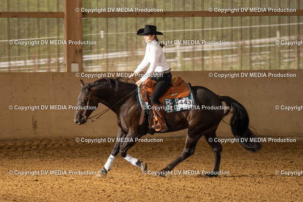 LAU01444 | dv-media-shop - Realisiert mit Pictrs.com