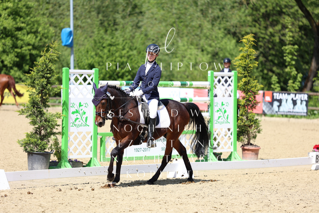 IMGS2688 | pl-fotografie