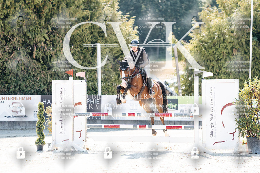 CK908333 | Turnierfotografie Pferdefotografie Trier Rheinland-Pfalz Pferdesport Reitsport Tierfotografie Sportfotografie Pferdevideo Pferdevideografie Equestrianvideography equestrianphotography  - Realisiert mit Pictrs.com