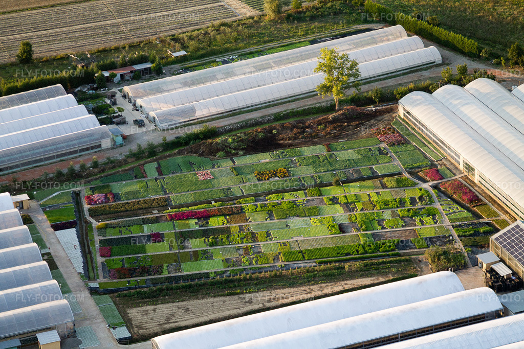 Aerial view: Nursery, flower breeding, perennial beds in Bigguro in Castiglion Fiorentino in the state Arezzo, Italy. – Photo: IMG_43855.jpg taken on 07/29/2011 by Werner Riehm/FLY-FOTO.com – Resolution of the original: 4272 x 2848 px