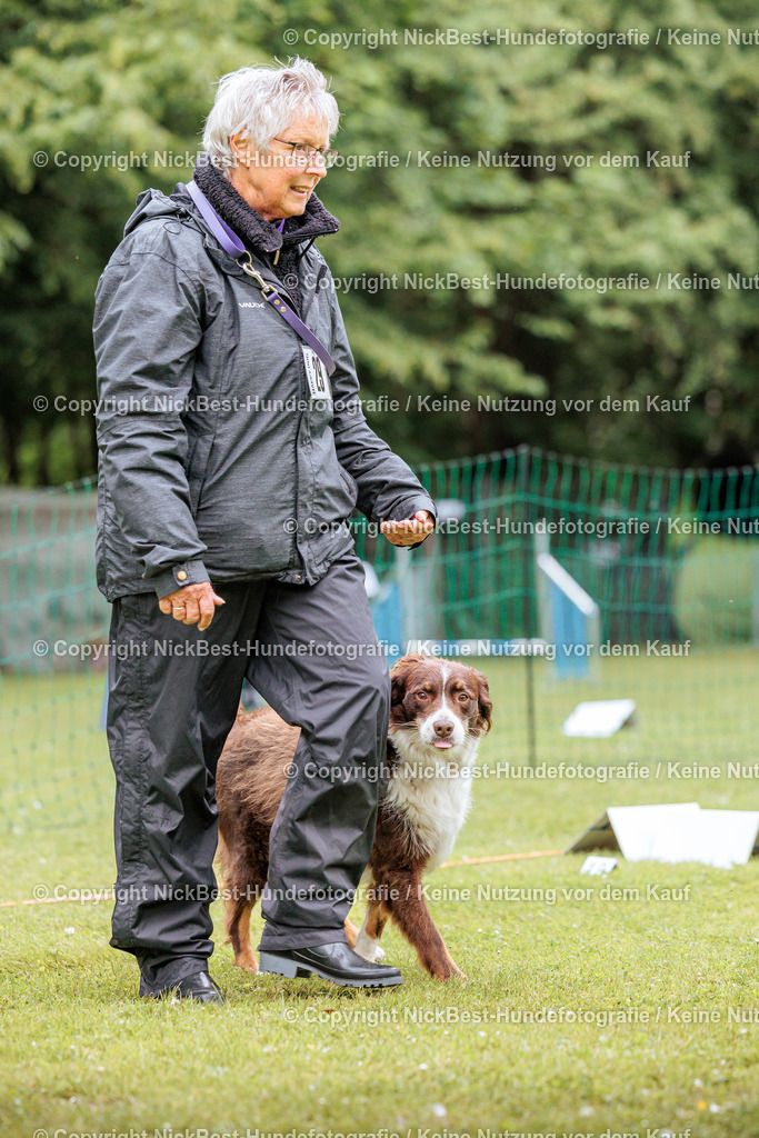 RO-Blumenthal-2026-Nickbest-Hundefotografie-2375 | Dein Hund! Dein Moment! Deine Erinnerungen! Hundefotografie in Bremen Blumenthal. Ich fange die besonderen Momente deines Vierbeiners ein – ob Indoor mit Blitzanlage oder in der freien Natur. Sicher dir dein Moment und dein Termin für eure Erinnerungen.