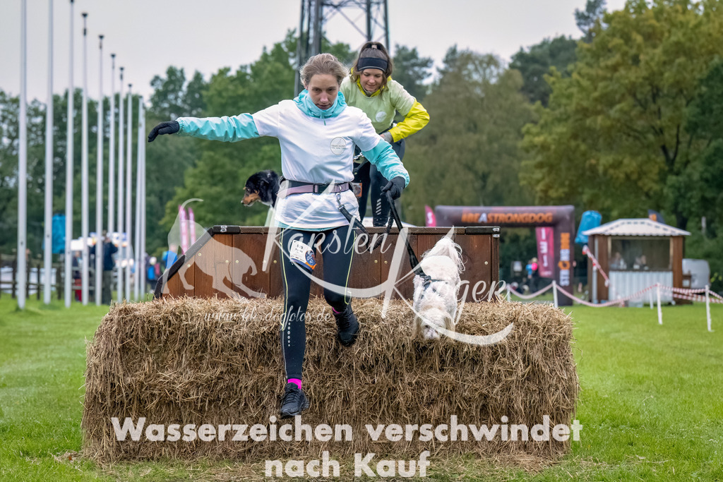 1026--12 | kk-dogfotos