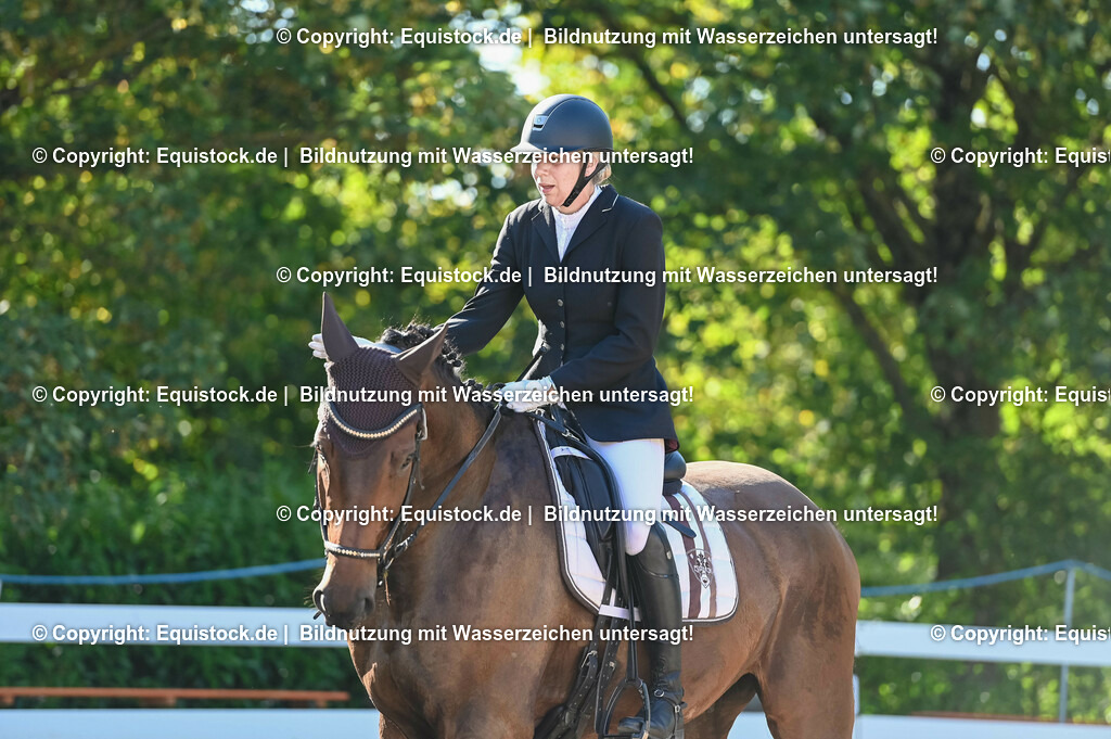 20230715_06_Dressurpferdeprfg. Kl.A_0057 | equistock