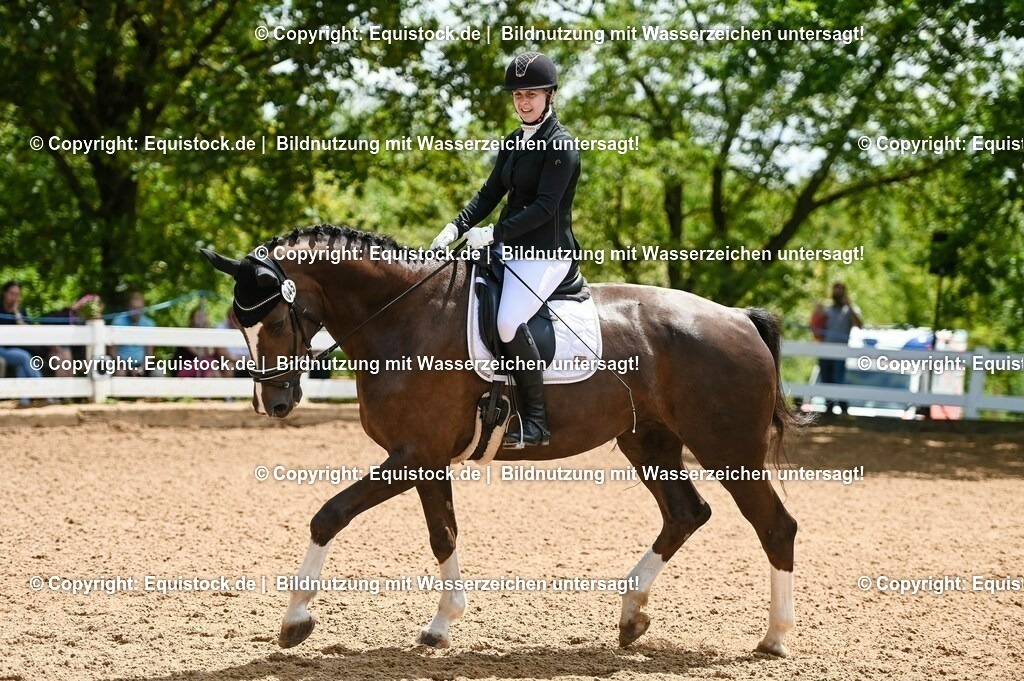 20230716_03_Dressurprfg. Kl.L - Tr._0169 | equistock