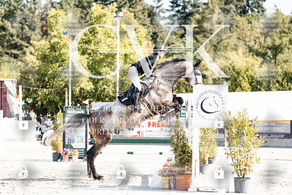 CK902262 | Turnierfotografie Pferdefotografie Trier Rheinland-Pfalz Pferdesport Reitsport Tierfotografie Sportfotografie Pferdevideo Pferdevideografie Equestrianvideography equestrianphotography  - Realisiert mit Pictrs.com