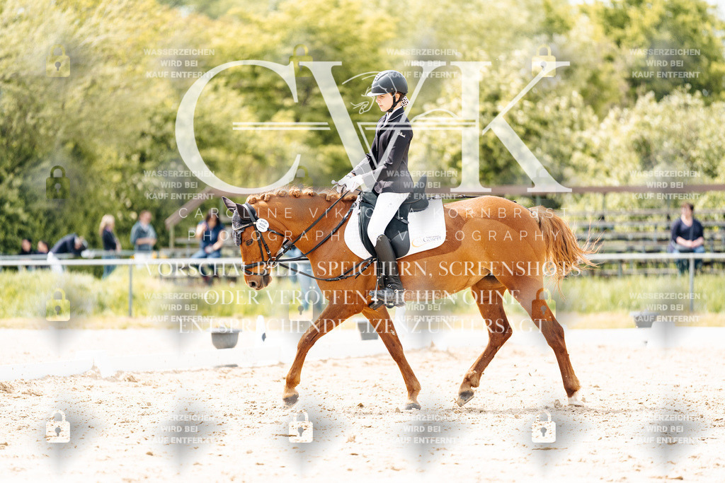 CK902311 | Turnierfotografie Pferdefotografie Trier Rheinland-Pfalz Pferdesport Reitsport Tierfotografie Sportfotografie Pferdevideo Pferdevideografie Equestrianvideography equestrianphotography  - Realisiert mit Pictrs.com