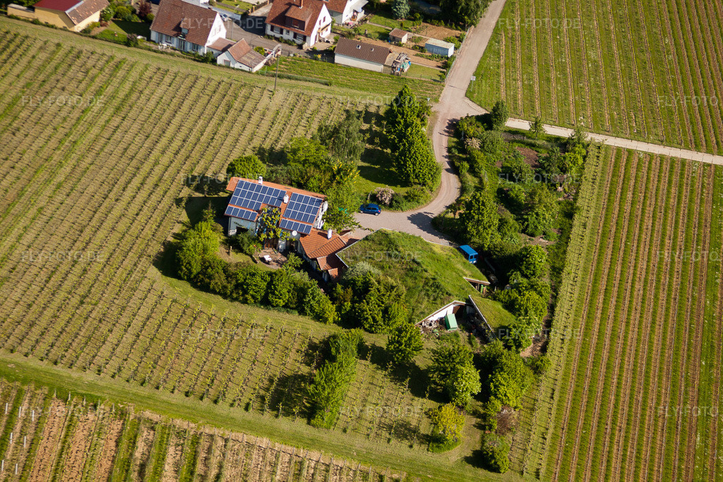 Luftbild: BiolandWeinbau Unterm Grassdach Weingut Marzolph im Ortsteil Wollmesheim in Landau im Bundesland Rheinland-Pfalz in Deutschland. Foto: IMG_27265.jpg vom 23.05.2010 durch Werner Riehm/FLY-FOTO.de