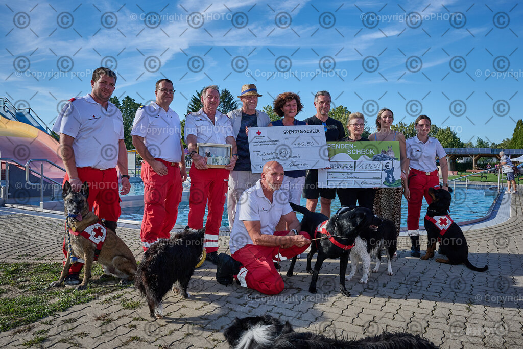 254_202509_4Hundebadetag_NZ9_3034 | proPHOTO - Realisiert mit Pictrs.com