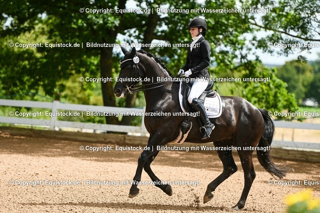 20230716_01_Dressurprüfung Kl.M_0032 | equistock