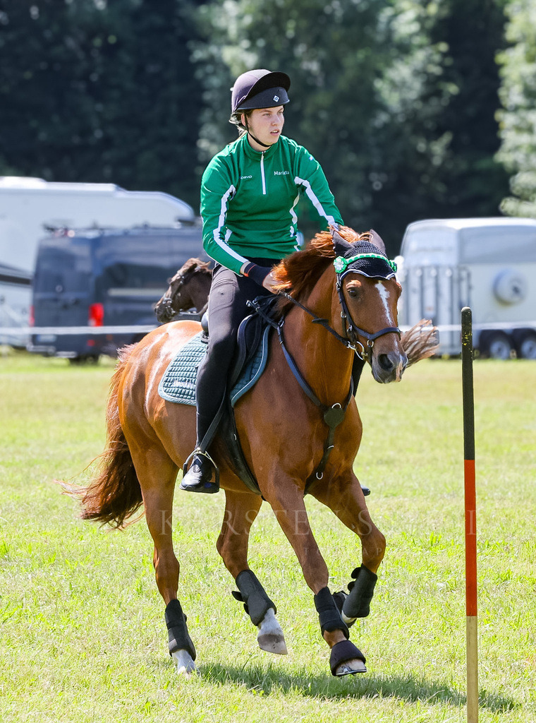 IMG_1605 | Reitsport Reiten