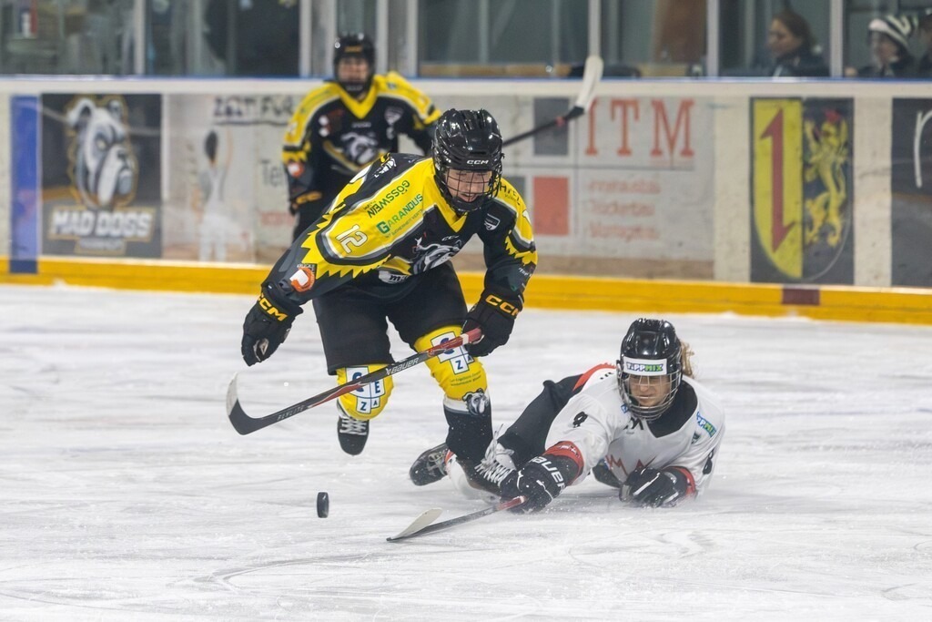 Mad Dogs Mannheim vs. HK Budapest (Mannheim, Germany) | Mannheim, Germany, 26/10/26) blossom-ic DFEL - GERMAN WOMEN'S ICE HOCKEY LEAGUE, 2026–27 Season, Matchday 10: Mad Dogs Mannheim vs. HK Budapest / Lilli Welcke (12, Mannheim) prevails in a head-to-head matchup against Petra Szamosfalvi (8, Budapest) - Realisiert mit Pictrs.com