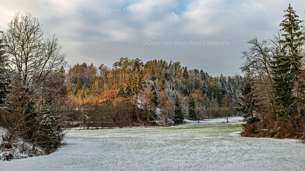 P1100213 | beatekidd-fotografie - Realisiert mit Pictrs.com