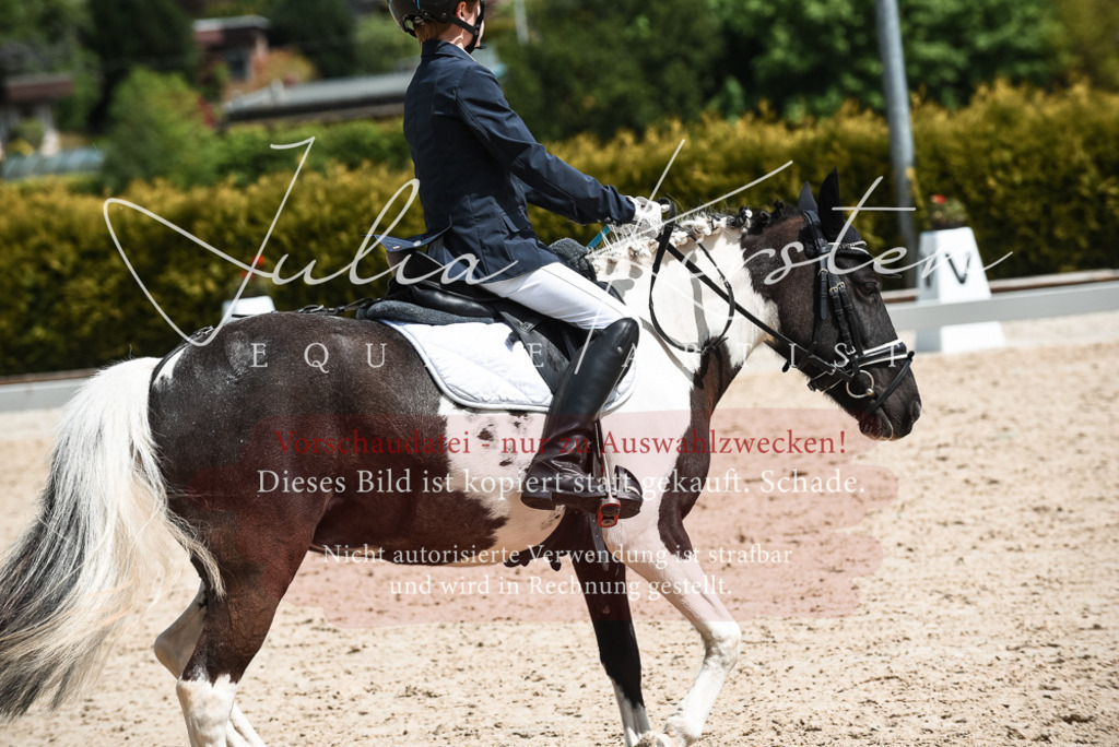 20230518_JK-Röhrsdorf-11-0410 | Pferde- und Turnierfotografie in Westsachsen. Pferdeportraits, Auftragszeichnungen und intuitive Kunst.