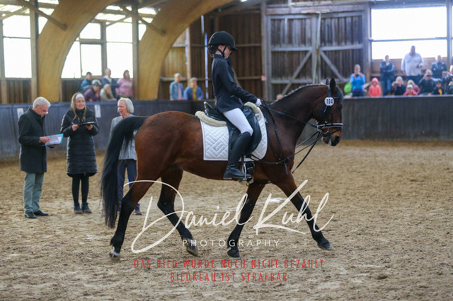 IMG_1535 | Turniersportfotografie; Pferdefotografie; Dressurfotografie