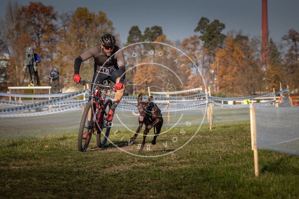 CaniXpix_0L8A6123 | Hundefotografie, Tierfotograf, Pfotenfotografie, Fotoshooting Hund, Hunde Portrait, Hundesport, Hundeportraits, Heideshooting, Hunde, Sportfotograf, Hundefotograf, Turnierhundsport, THS,  - Realisiert mit Pictrs.com