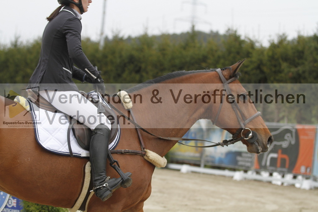 _MG_1305 | equestrian-live-com