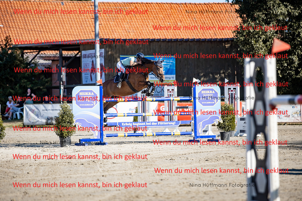 BK1A8167 | Turnierbilder Turnierfotos Nina Hüffmann Turnierfotografie Pferdefotografie Tierzeichnung Haustierzeichnung Pferdezeichnung Hundezeichnung Videograf  - Realisiert mit Pictrs.com