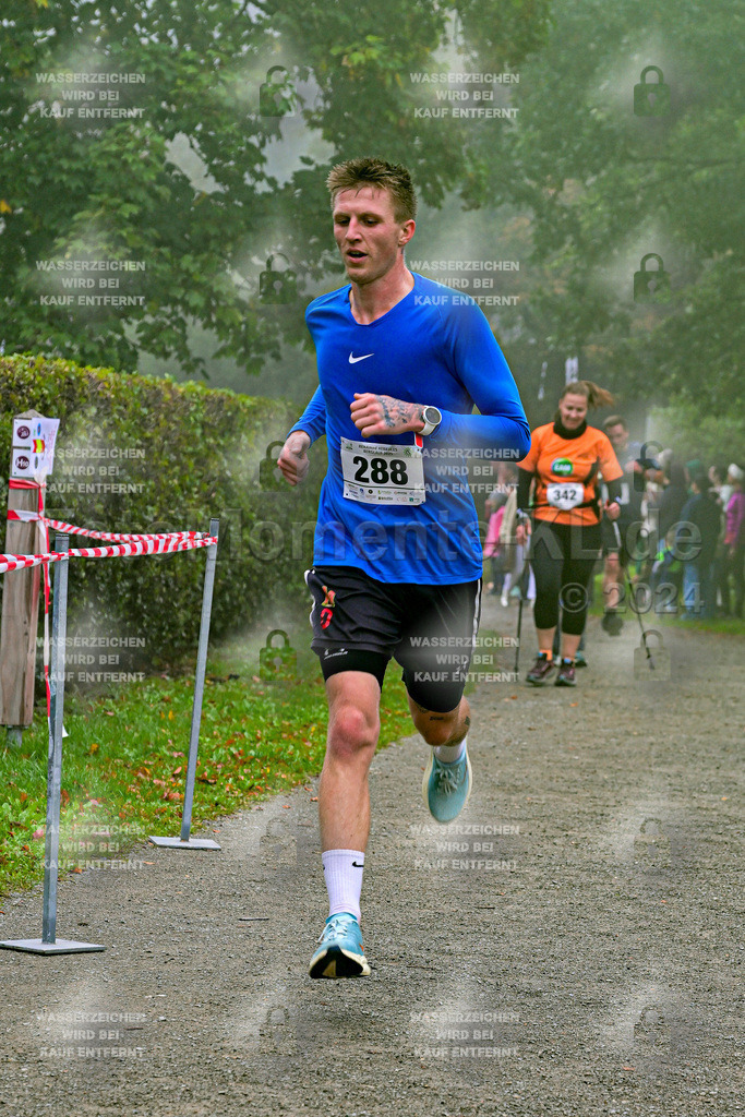 Z8N_1583 | la-psv - Realisiert mit Pictrs.com