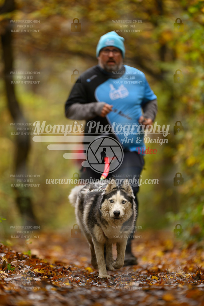 MompixPhotography_CD7S_DI_CCL-74 | mompixphotography