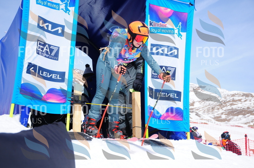 DSC_7195 | holidayphoto