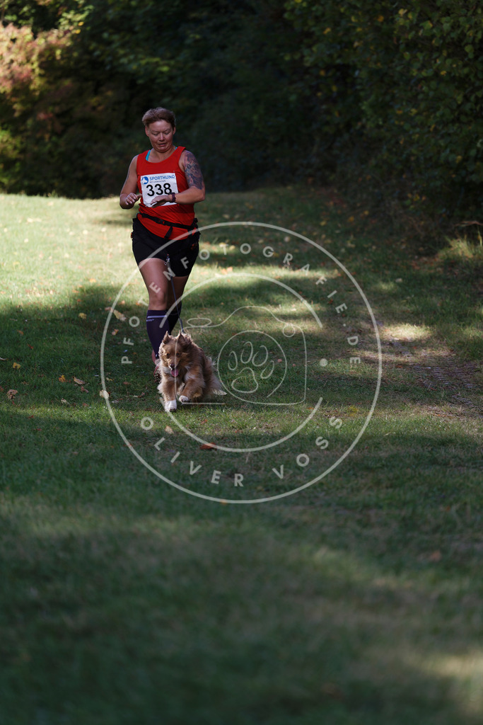 0L8A5235 | Hundefotografie, Tierfotograf, Pfotenfotografie, Fotoshooting Hund, Hunde Portrait, Hundesport, Hundeportraits, Heideshooting, Hunde, Sportfotograf, Hundefotograf, Turnierhundsport, THS,  - Realisiert mit Pictrs.com
