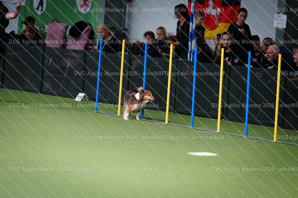 allesWIRTHgut_Tierfotografie-DVG_Agility_Masters_2026-11_09-7R504968 | Professionelle Tierfotografie in Mönchengladbach von Daniel Wirth (allesWIRTHgut). Liebevolle & natürliche Bilder von Hunden & Katzen für unvergessliche Erinnerungen.