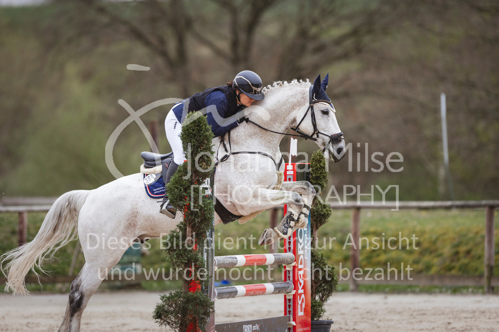 240330_Fruehlingsfest_Stil-A2-2-741 | Deine schönsten Turniermomente als professionelle Fotos! Entdecke hochwertige Pferdesport-Fotografie im Online-Shop. Jetzt Fotos finden & bestellen!