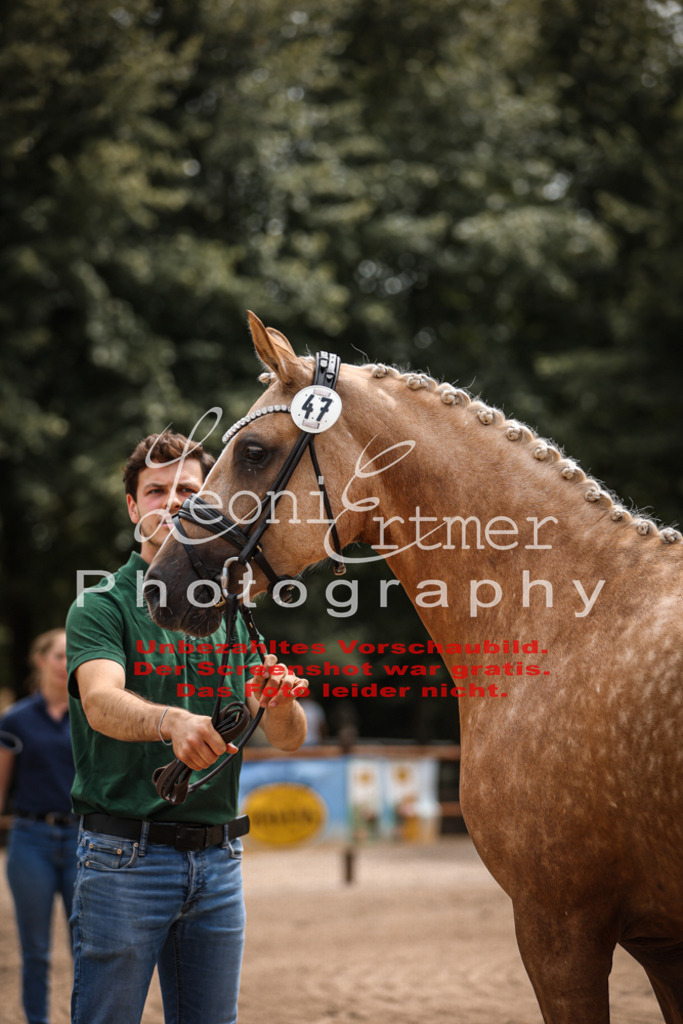 8.So00069 | Leoni Ertmer Photography - Realisiert mit Pictrs.com