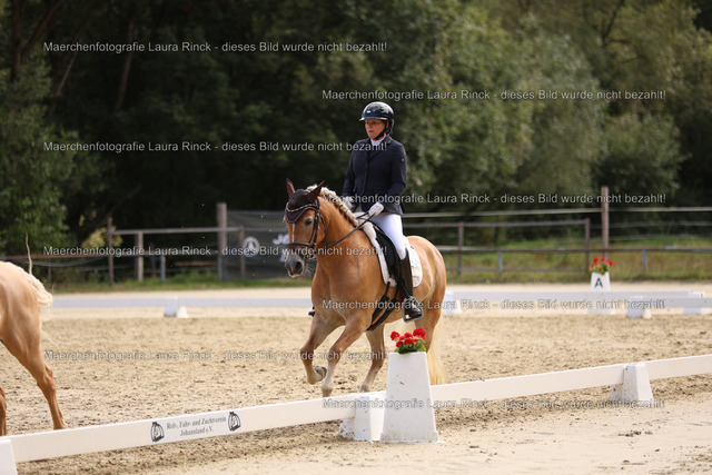 HG9A1548 | laurarinckfotografie - Realisiert mit Pictrs.com