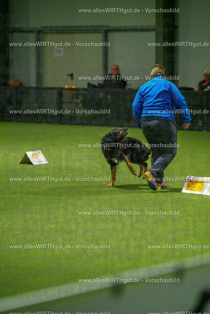 7R508696 | Professionelle Tierfotografie in Mönchengladbach von Daniel Wirth (allesWIRTHgut). Liebevolle & natürliche Bilder von Hunden & Katzen für unvergessliche Erinnerungen.