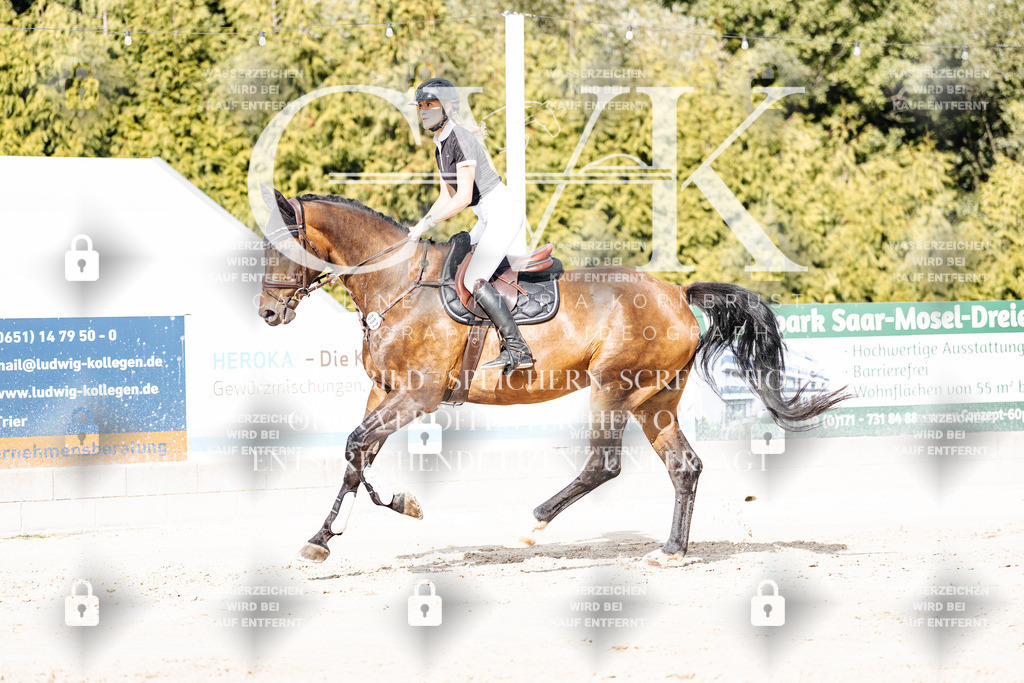 CK909073 | Turnierfotografie Pferdefotografie Trier Rheinland-Pfalz Pferdesport Reitsport Tierfotografie Sportfotografie Pferdevideo Pferdevideografie Equestrianvideography equestrianphotography  - Realisiert mit Pictrs.com