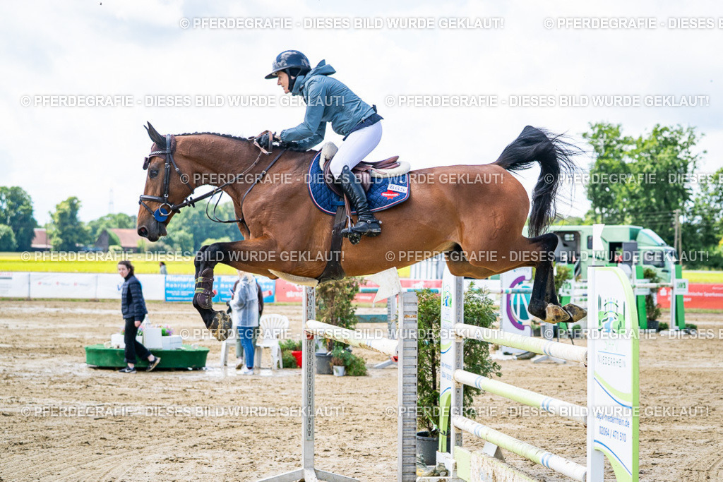 DSC04937 | Pferdegrafie