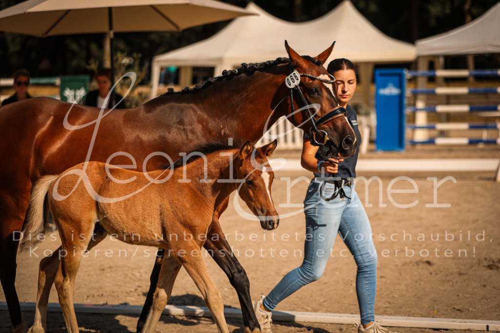 11.DoRP00154 | Leoni Ertmer Photography - Realisiert mit Pictrs.com