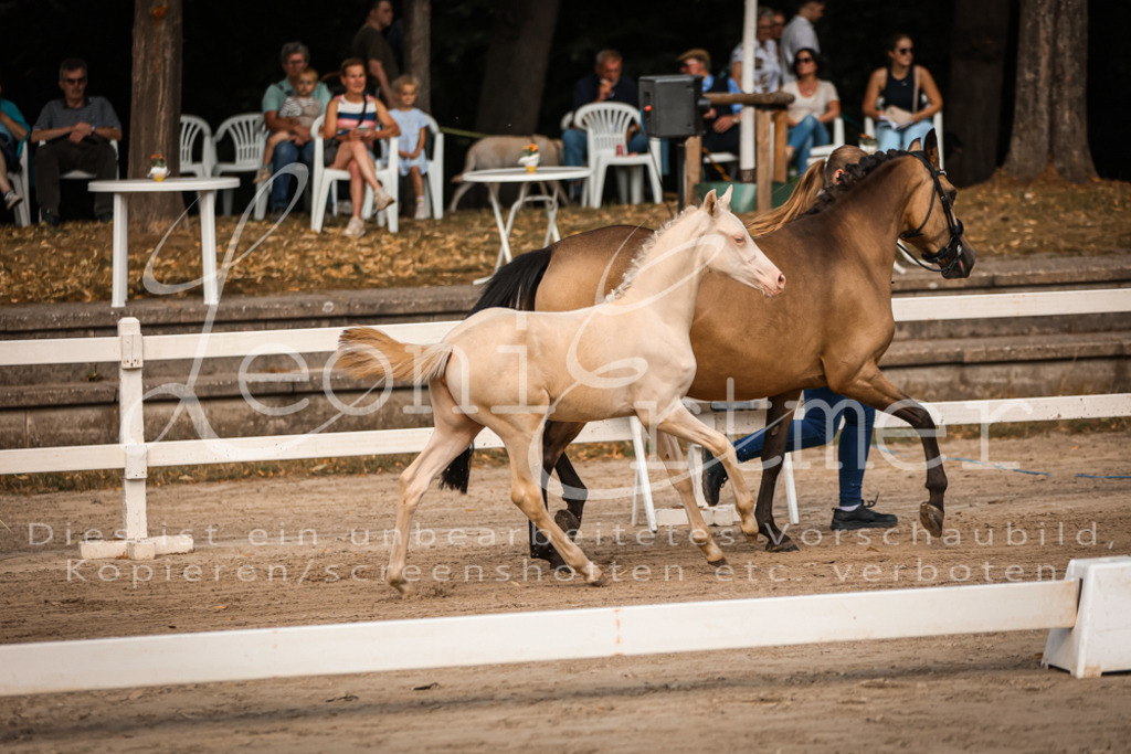 10.DoRP00044 | Leoni Ertmer Photography - Realisiert mit Pictrs.com