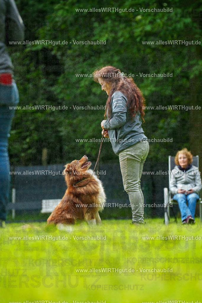 @allesWIRTHgut_Tierfotografie - www.allesWIRTHgut.de - 7R505154 | Professionelle Tierfotografie in Mönchengladbach von Daniel Wirth (allesWIRTHgut). Liebevolle & natürliche Bilder von Hunden & Katzen für unvergessliche Erinnerungen.