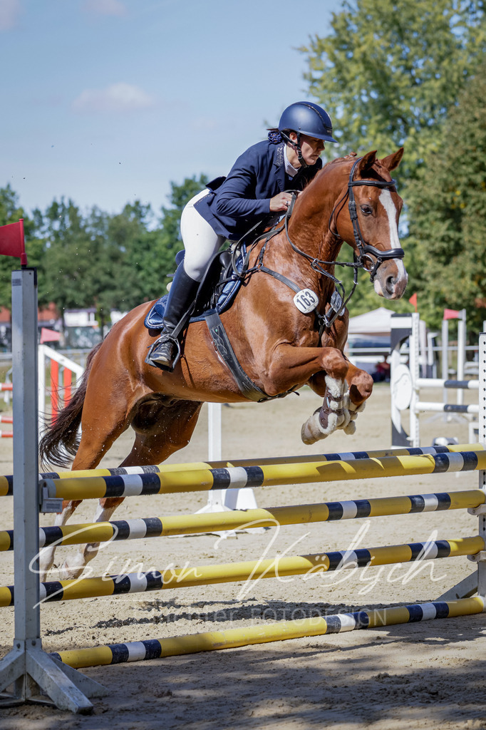 20250906-_3LI4225 | Tierfotografie Pferde, Hunde, Katzen, Haustiere.
Turnierfotografie Reitturniere, Reiten, Springreiten, Dressur in Hanau, dem Main-Kinzig-Kreis und dem Rhein-Main- Gebiet um Frankfurt