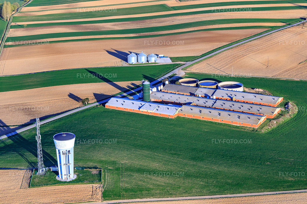 Aerial view: Water tower, mobile phone mast and pig breeding halls with biogas plant in Wintzenbach in the state Bas-Rhin, France. – Photo: IMG_097849.jpg taken on 03/27/2017 by Werner Riehm/FLY-FOTO.com – Resolution of the original: 5198 x 3465 px