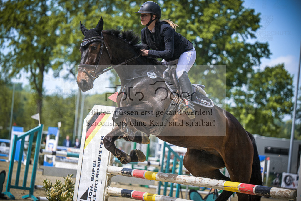 DOS_8305 | Entdecke hochwertige Reitturnierfotos von Foto Oger. Professionell, emotional und authentisch – jetzt Lieblingsmomente im Shop bestellen.Deutschlandweite Turnierfotografie. - Realisiert mit Pictrs.com