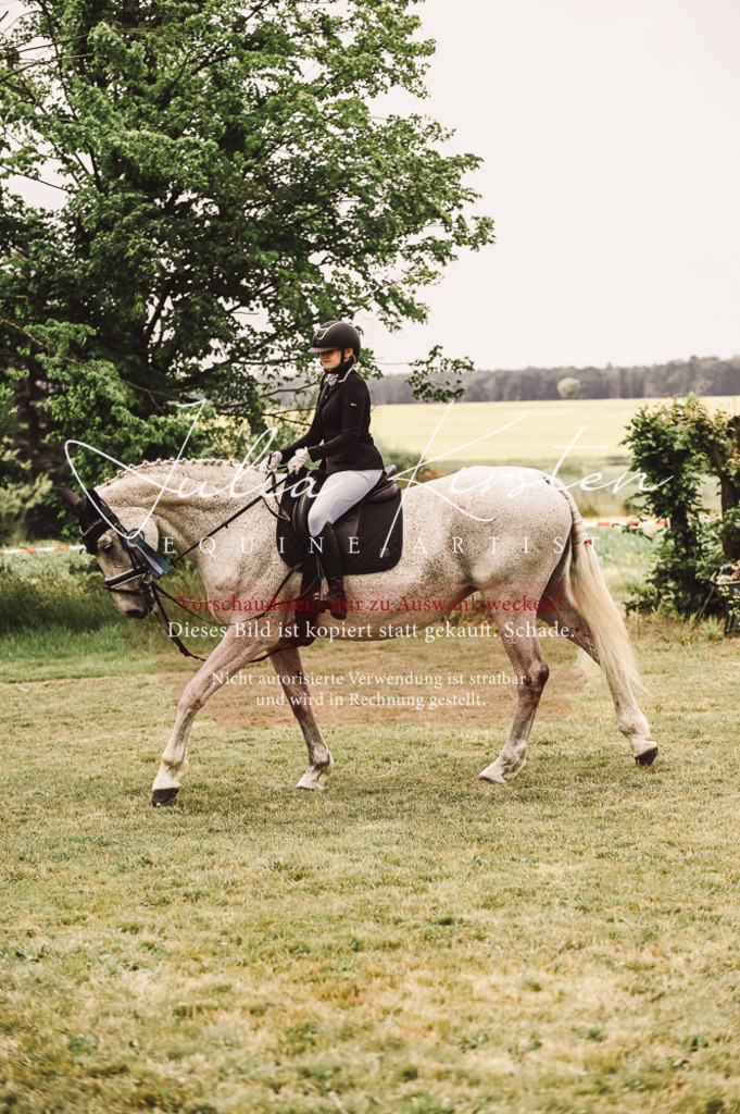 DSC_5190 | Pferde- und Turnierfotografie in Westsachsen. Pferdeportraits, Auftragszeichnungen und intuitive Kunst.