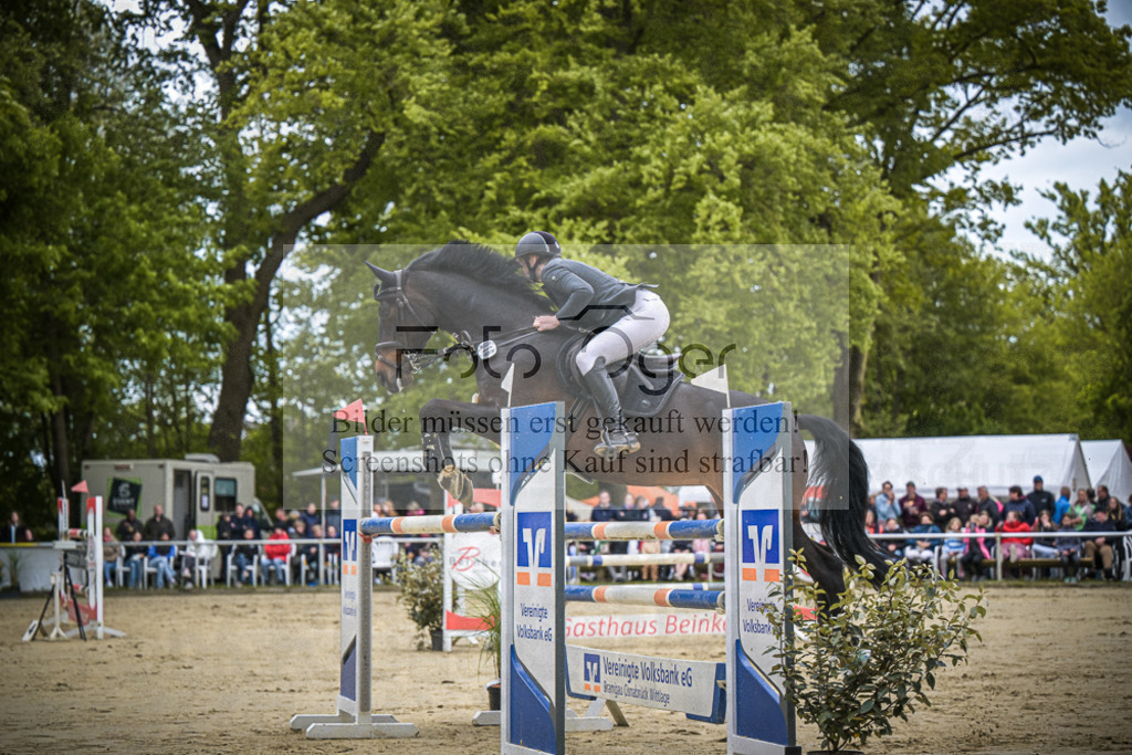 DOS_9637 | Entdecke hochwertige Reitturnierfotos von Foto Oger. Professionell, emotional und authentisch – jetzt Lieblingsmomente im Shop bestellen.Deutschlandweite Turnierfotografie. - Realisiert mit Pictrs.com