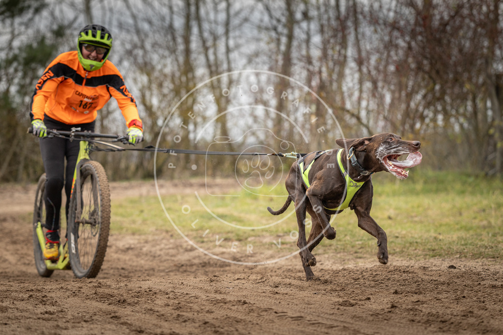 Pfotenfotografie_DV3A9582 | Hundefotografie, Tierfotograf, Pfotenfotografie, Fotoshooting Hund, Hunde Portrait, Hundesport, Hundeportraits, Heideshooting, Hunde, Sportfotograf, Hundefotograf, Turnierhundsport, THS,  - Realisiert mit Pictrs.com