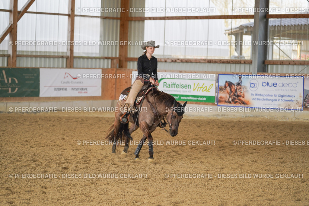 DSC00372 | Pferdegrafie