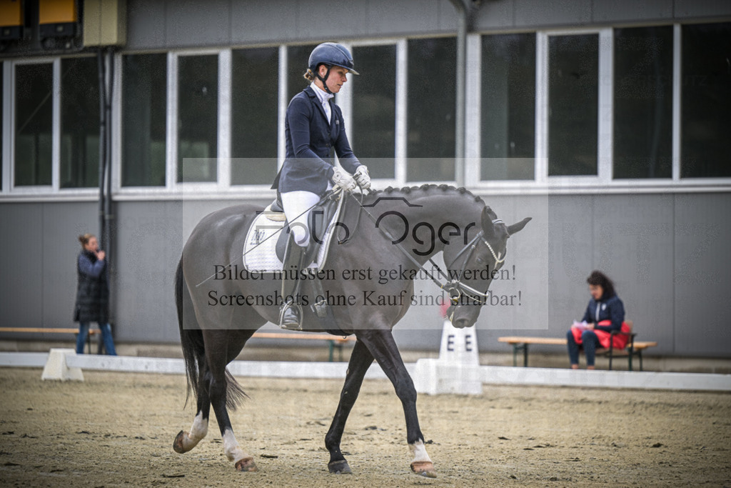 DOS_0557 | Entdecke hochwertige Reitturnierfotos von Foto Oger. Professionell, emotional und authentisch – jetzt Lieblingsmomente im Shop bestellen.Deutschlandweite Turnierfotografie. - Realisiert mit Pictrs.com