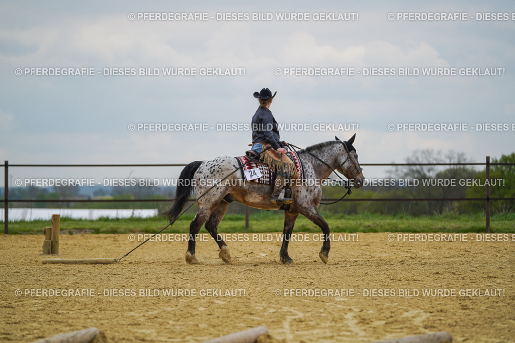 DSC07624 | Pferdegrafie