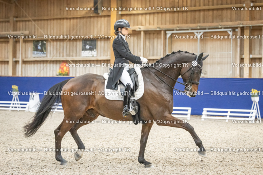 _D5A3827 | Emotionale Pferde- & People-Fotografie rund um Heidelberg, Leimen & Umgebung. Natürliche Fotos von Pferd, Mensch & Familie. Jetzt Termin sichern!