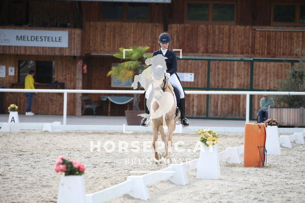 DL2Q5031 | Willkommen bei Brunnmayr - Design & Fotografie – Ihrem Spezialisten für Reitturniere und Pferdeveranstaltungen in Oberösterreich, Salzburg und Bayern! Seit über 17 Jahren sind wir leidenschaftlich dabei.