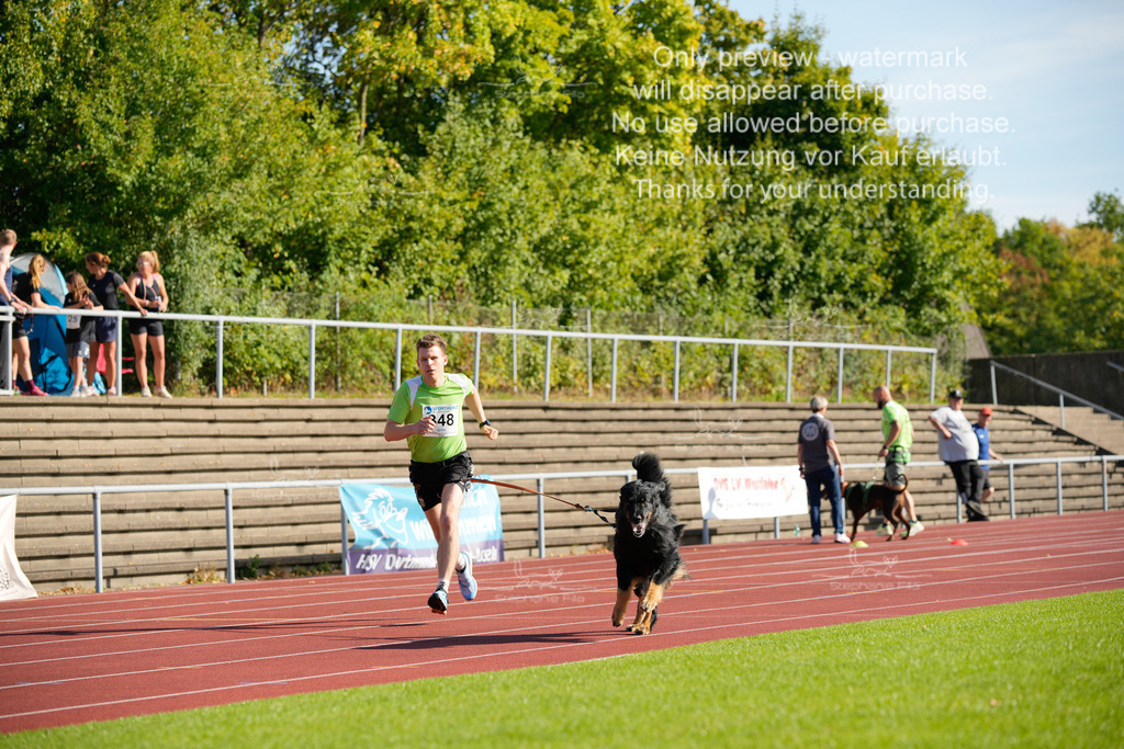 Sonntag_Staffel (103 von 336) | stephaniefillaphotographie - Realisiert mit Pictrs.com