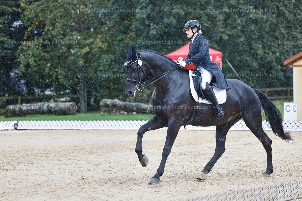 8_2-171-DRESSUR S_  -StoibPH-4500 | working equitationturnier fotograf videograf stoibphotography marixx film working equitation deutschland reitsport turnierfotografie eventfotografie equestrian events